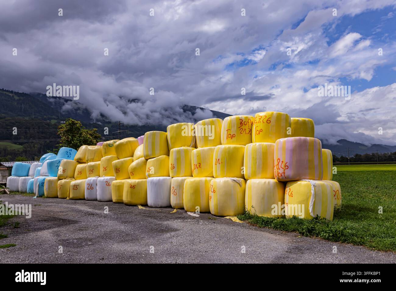 Ballons de silo colorés enveloppés dans un film étirable coloré Ballons empilés devant une ferme près de Vilters-Wangs. Vilters-Wangs, canton de Saint-Gall, Suisse Banque D'Images