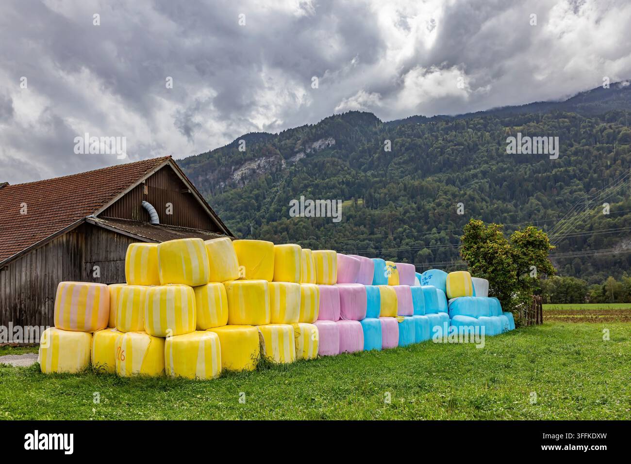 Ballons de silo colorés enveloppés dans un film étirable coloré Ballons empilés devant une ferme près de Vilters-Wangs. Vilters-Wangs, canton de Saint-Gall, Suisse Banque D'Images