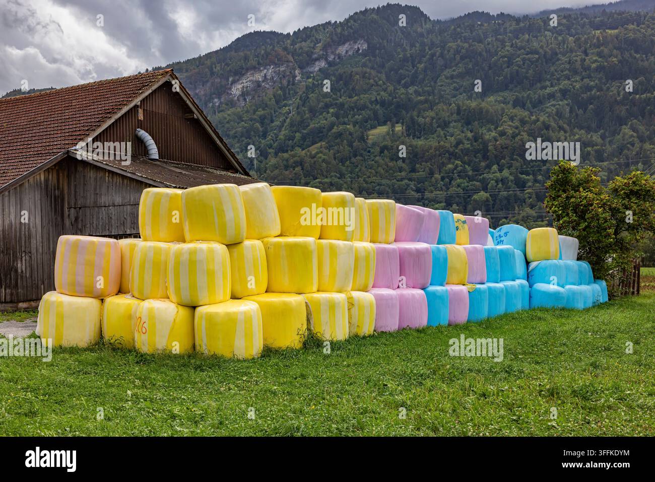 Ballons de silo colorés enveloppés dans un film étirable coloré Ballons empilés devant une ferme près de Vilters-Wangs. Vilters-Wangs, canton de Saint-Gall, Suisse Banque D'Images