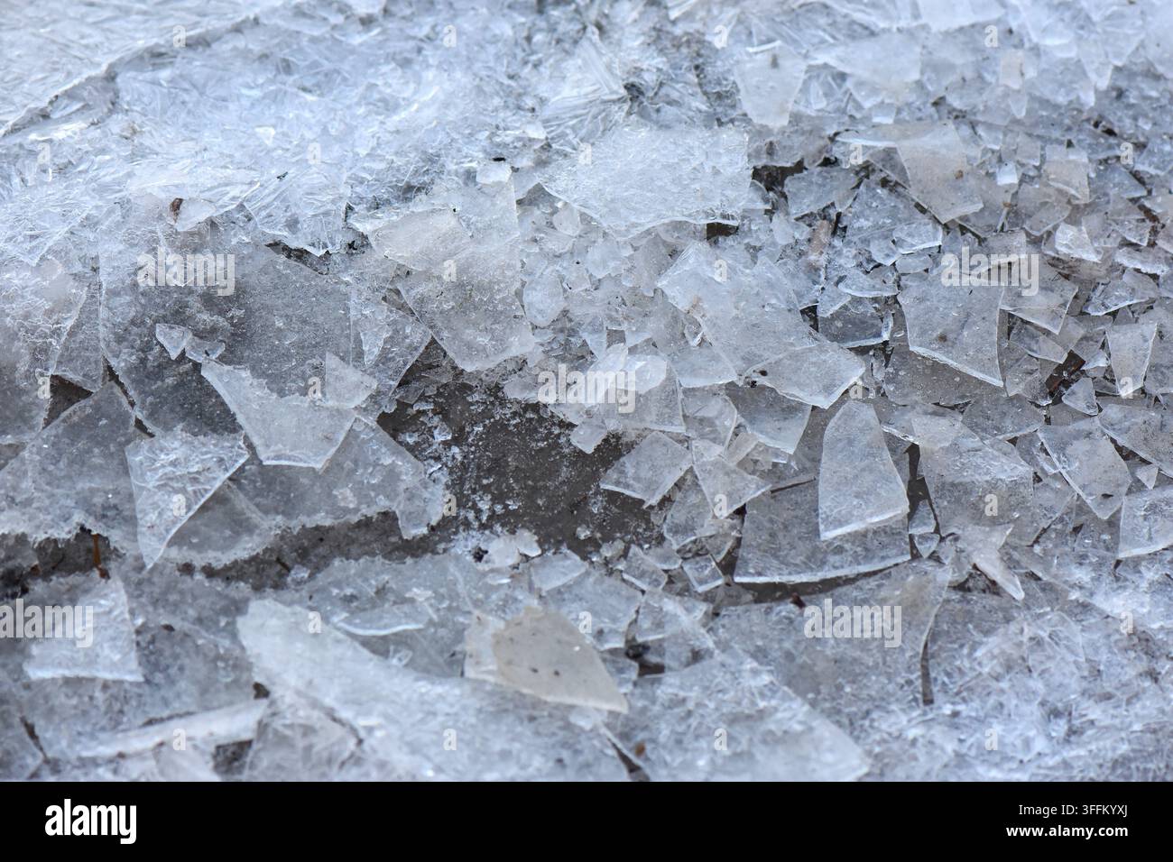Texture de glace sur le lac Banque D'Images