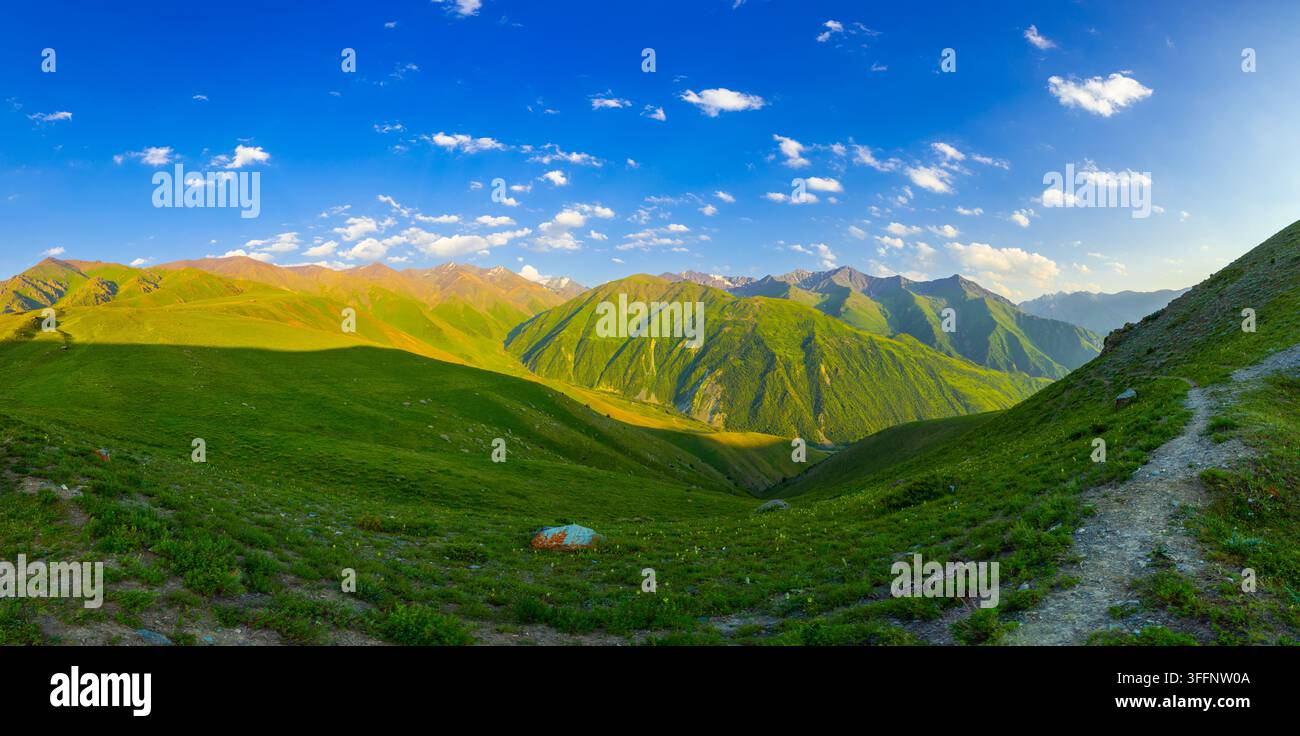 Vue panoramique large de montagnes vertes vibrantes sous un ciel bleu clair. Un sentier de terre sinueux invite à l'exploration à travers le paysage serein à l'heure dorée. Banque D'Images