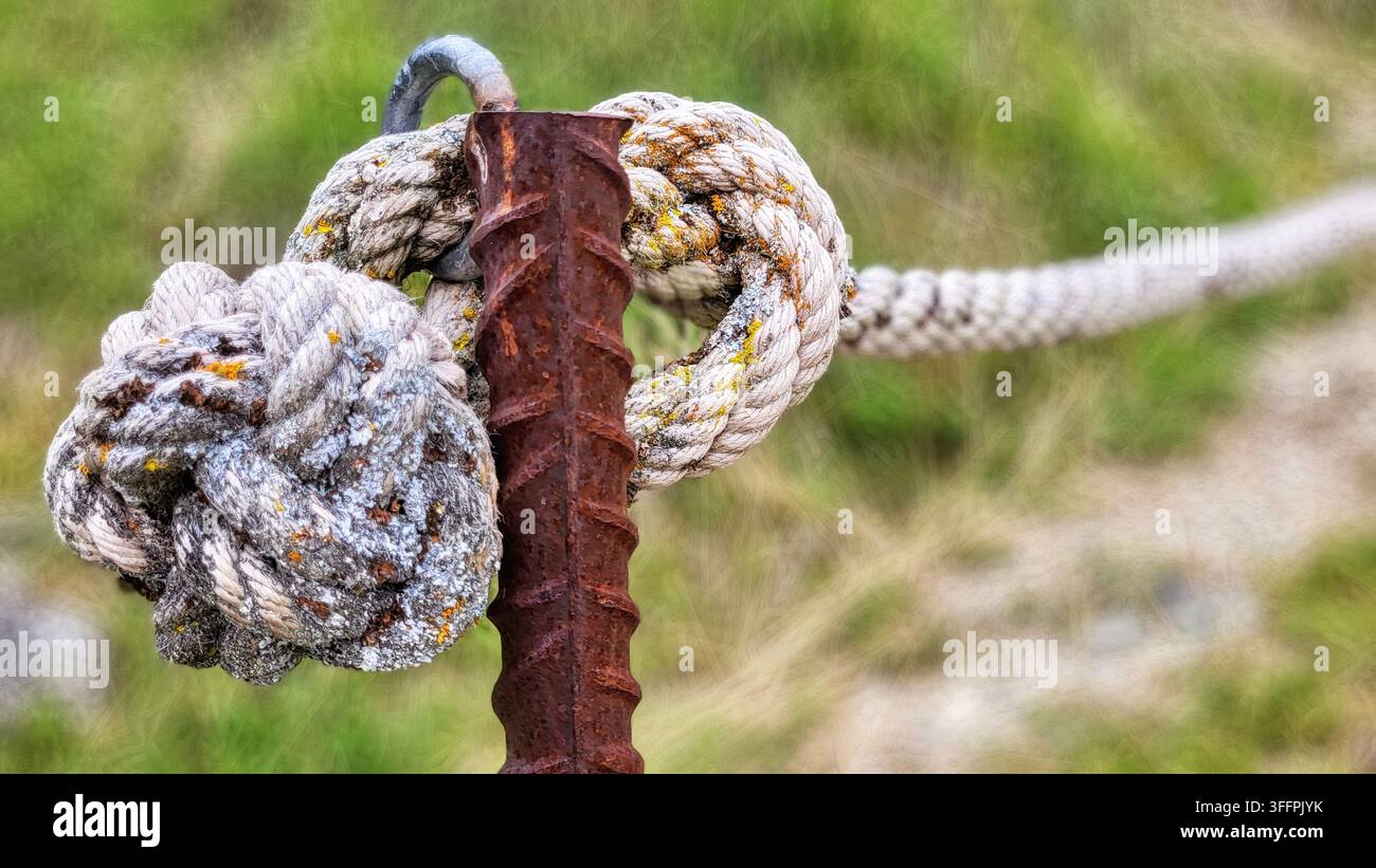 Ancien cordon usé avec un gros nœud sur une tige en fer rouillée, fond vert naturel, Suisse Banque D'Images