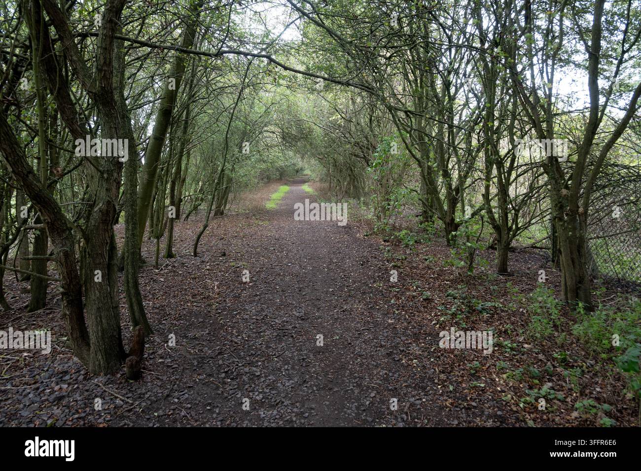 Weddington Walk, Weddington, Nuneaton, Warwickshire, Angleterre, Royaume-Uni Banque D'Images