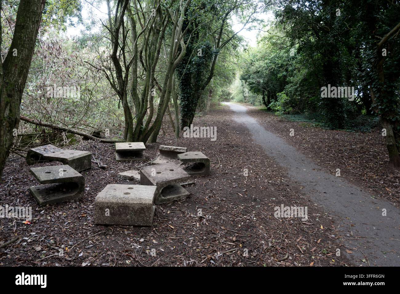 Weddington Walk, Weddington, Nuneaton, Warwickshire, Angleterre, Royaume-Uni Banque D'Images