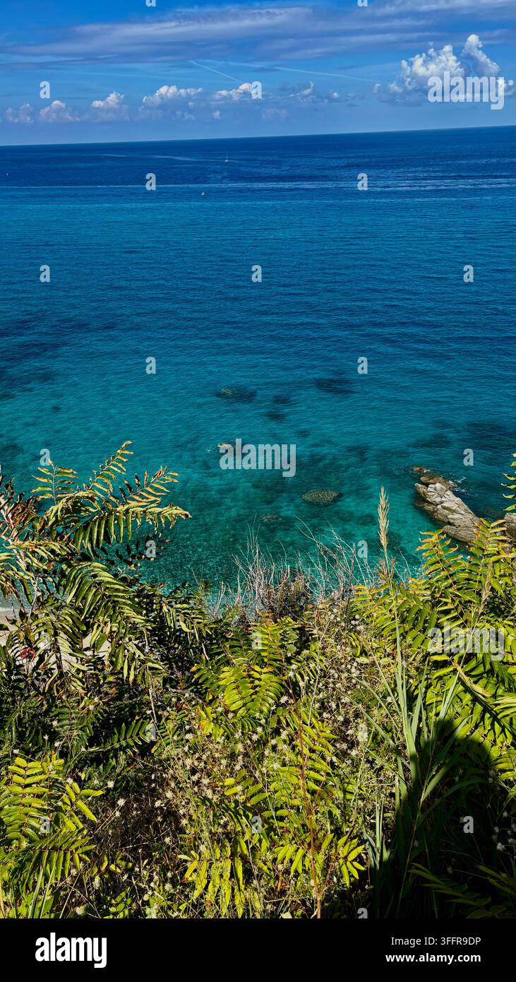 Végétation luxuriante verte surplombant une eau turquoise cristalline le long de la côte de la Calabre, Italie - Image de stock capturée avec un smartphone
