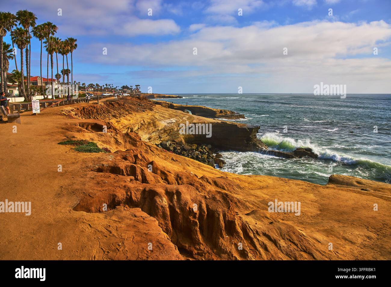 Falaises du coucher de soleil de San Diego Côte rocheuse avec palmiers et vagues de l'océan Banque D'Images