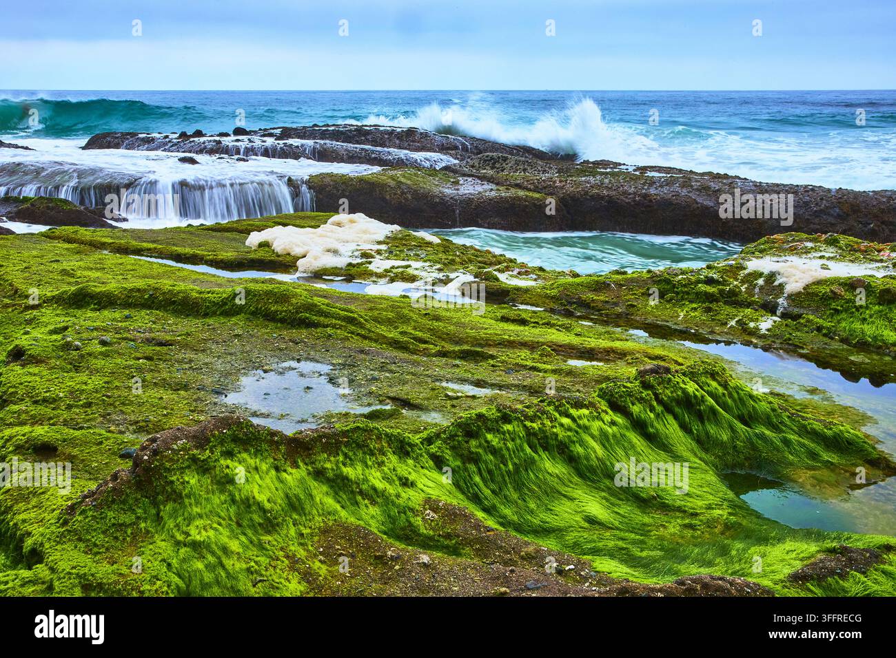 Bassins de marée recouverts de mousse et vagues déferlantes de l'océan Pacifique sur une plage rocheuse de Californie Banque D'Images