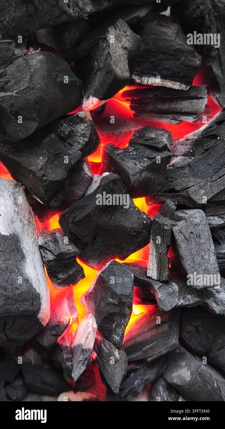 gros plan de charbon de bois brûlé pour le barbecue Banque D'Images
