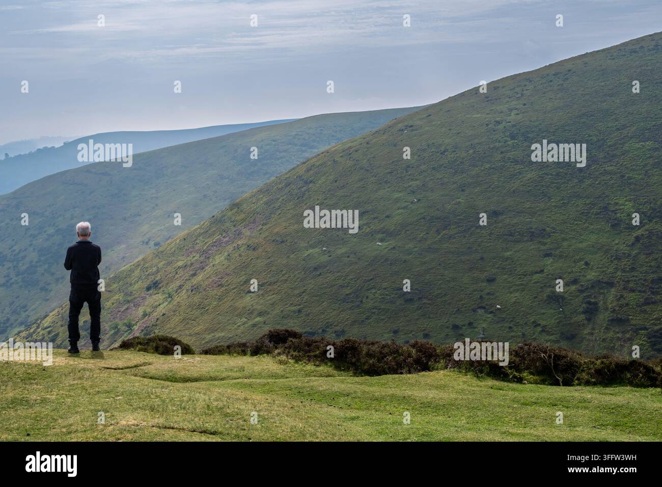 Un marcheur regarde les collines des hautes terres de Long Mynd Common dans le Shropshire, en Angleterre, faisant partie des Shropshire Hills. Banque D'Images