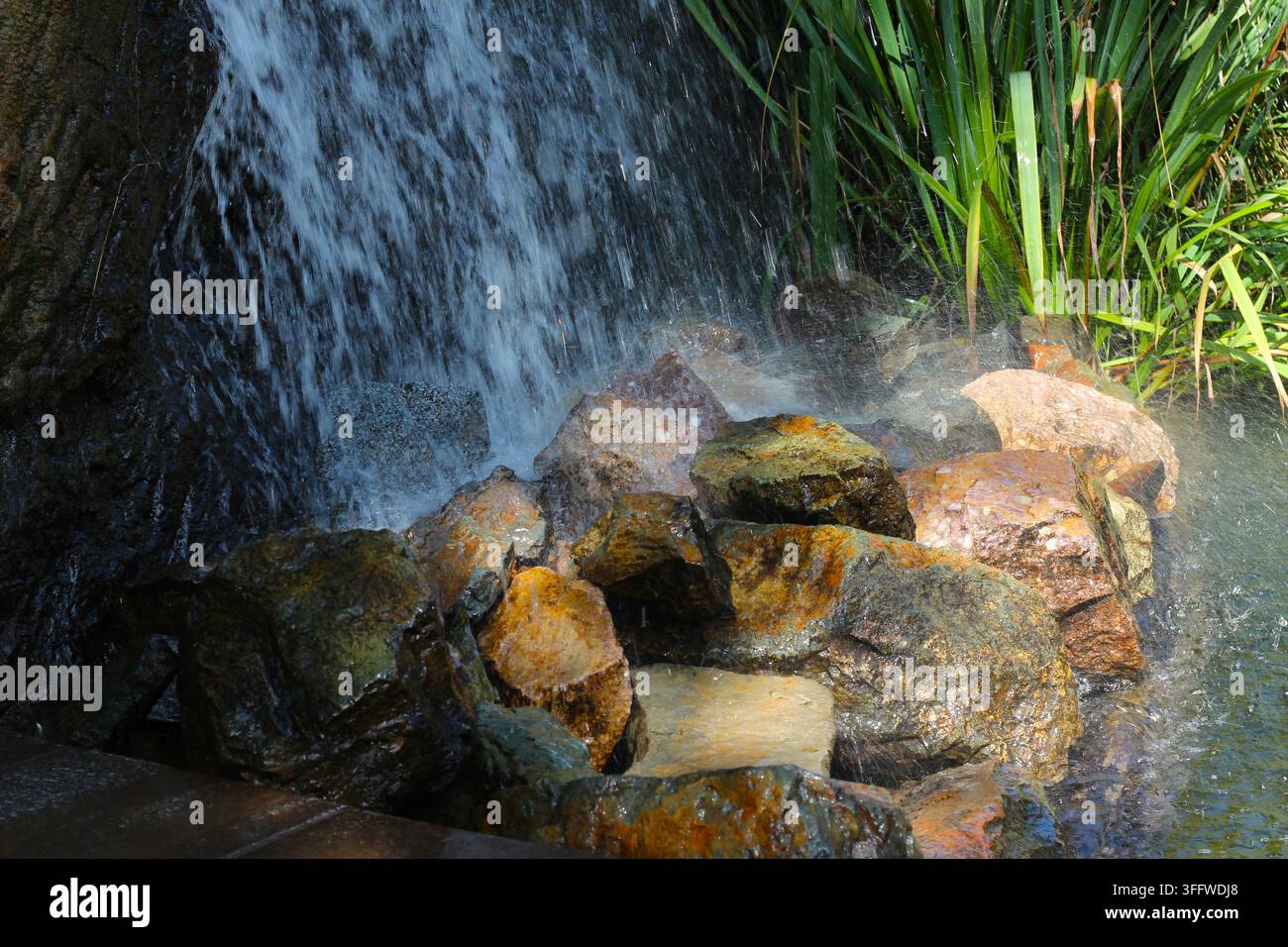Cascade rafraîchissante coulant sur des rochers mouillés dans un jardin paisible. Banque D'Images
