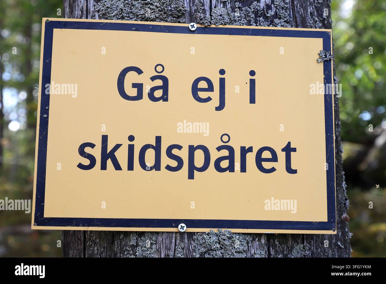 Grossissement d'un panneau d'avertissement suédois portant l'inscription „Gå ej i skidspåret“, signifiant „Ne marchez pas sur la piste de ski“. Le panneau est attaché à un arbre dans une forêt un Banque D'Images