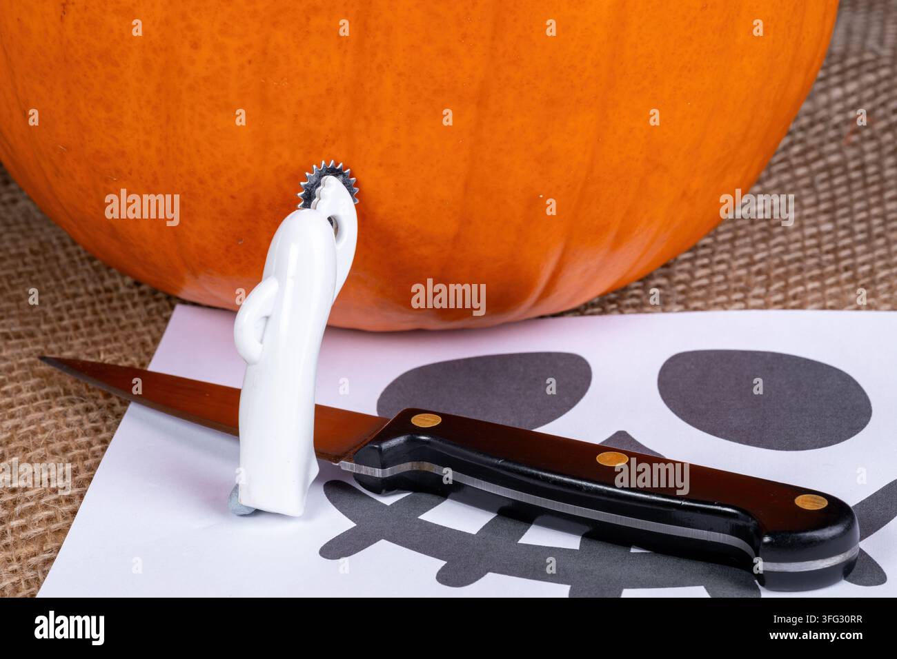 Gros plan des composants d'un kit de sculpture de citrouille comprenant un cutter dentelé à manche blanc inséré dans une citrouille orange, un couteau pliant et un visage de crâne imprimé Banque D'Images