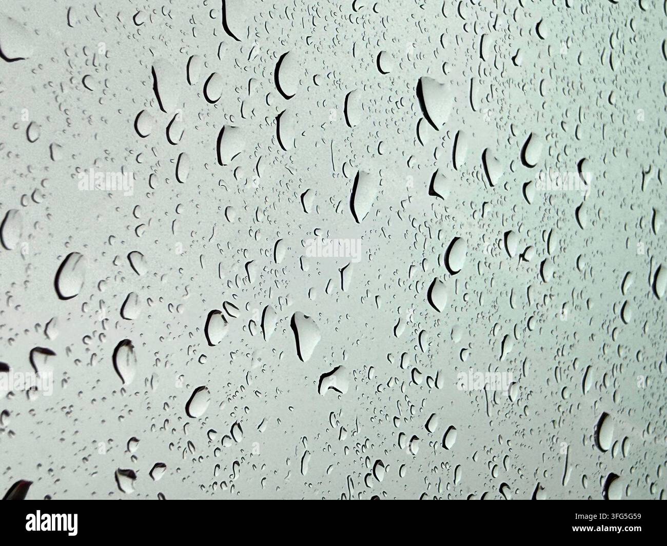 Photo macro rapprochée de gouttelettes d'eau et de traînées de pluie sur une surface en verre, sur un fond lumière douce. - Image de stock capturée avec un smartphone