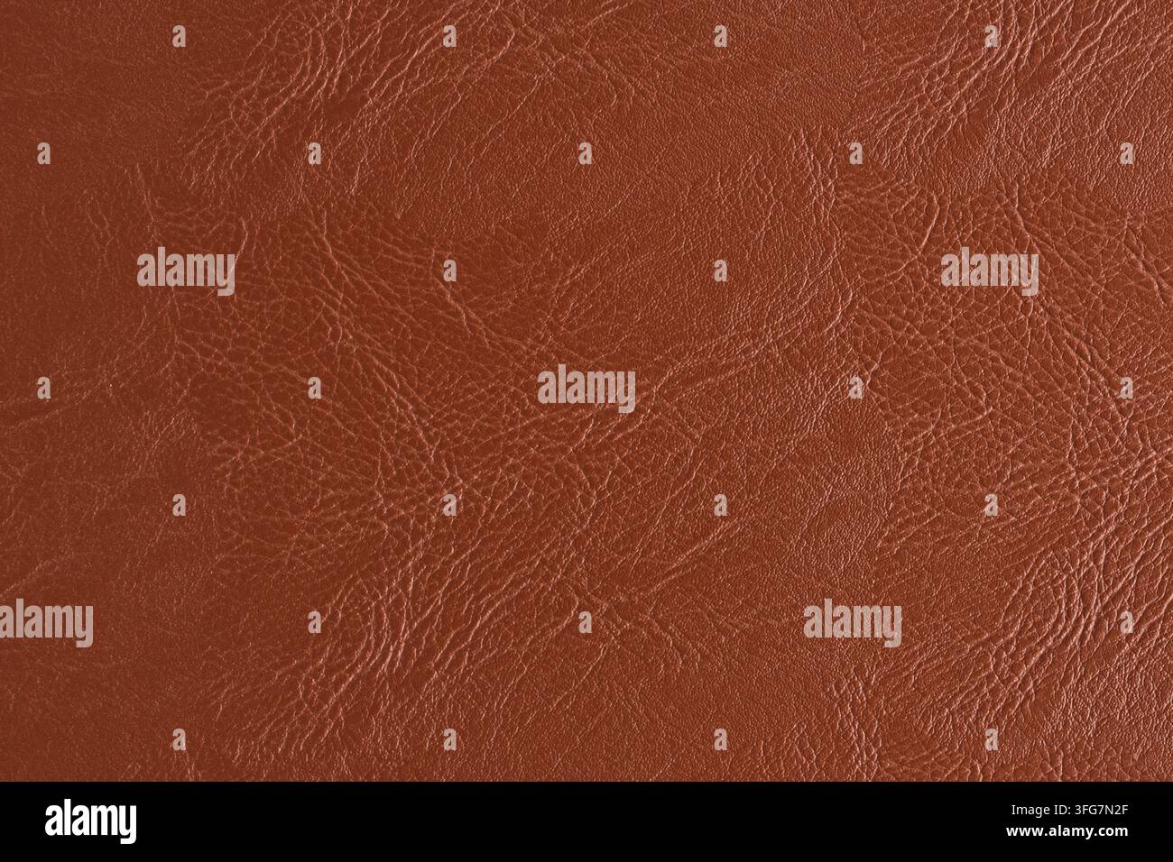 Texture de fond en cuir brun riche avec des veines naturelles détaillées et de fines rides sur la surface Banque D'Images