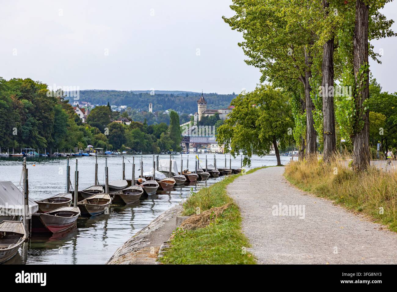 Vue sur le Rhin près de Schaffhausen. Des bateaux sont amarrés sur la rive. Les bateaux plats typiques de Schaffhausen sur le Rhin s'appellent Weidlinge. Sch Banque D'Images