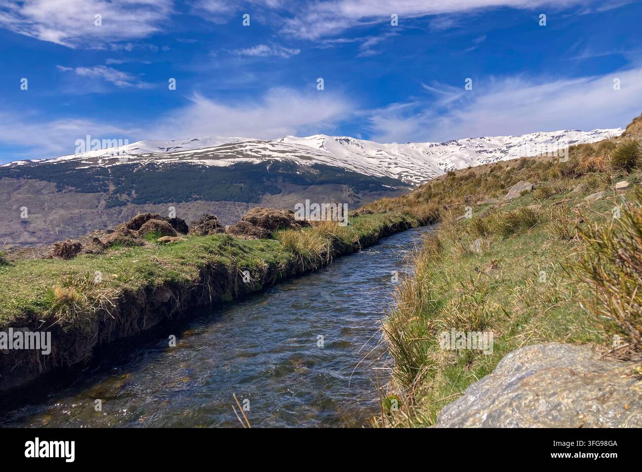 Un ruisseau de printemps clair traverse un paysage alpin avec des sommets enneigés des montagnes de la Sierra Nevada et une prairie de vallée luxuriante en Espagne - Image de stock capturée avec un smartphone