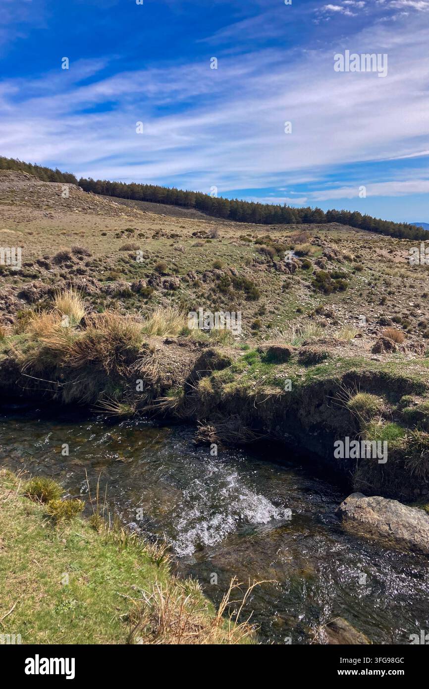 Un ruisseau de printemps clair traverse un paysage alpin avec des sommets enneigés des montagnes de la Sierra Nevada et une prairie de vallée luxuriante en Espagne - Image de stock capturée avec un smartphone