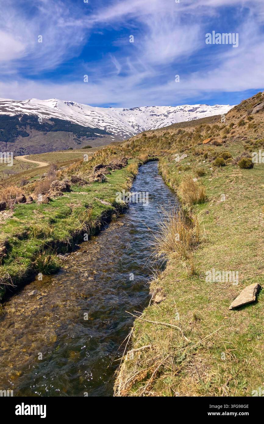 Un ruisseau de printemps clair traverse un paysage alpin avec des sommets enneigés des montagnes de la Sierra Nevada et une prairie de vallée luxuriante en Espagne - Image de stock capturée avec un smartphone