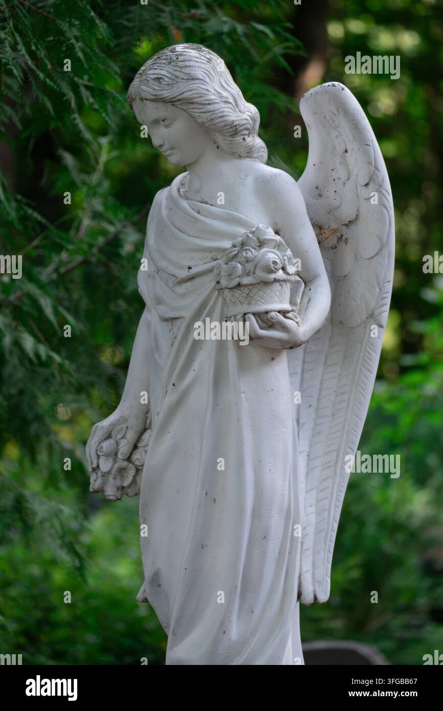 Statue d'ange blanc avec des ailes tenant un panier de fleurs Banque D'Images