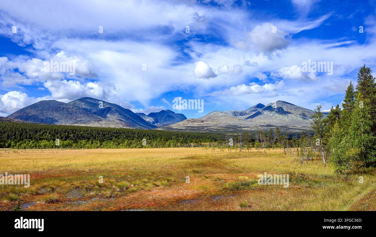 Vue de la réserve naturelle d'Atnsjömyrene et du parc national de Rondane (Innlandet, Norvège) en Septe,ber. Banque D'Images