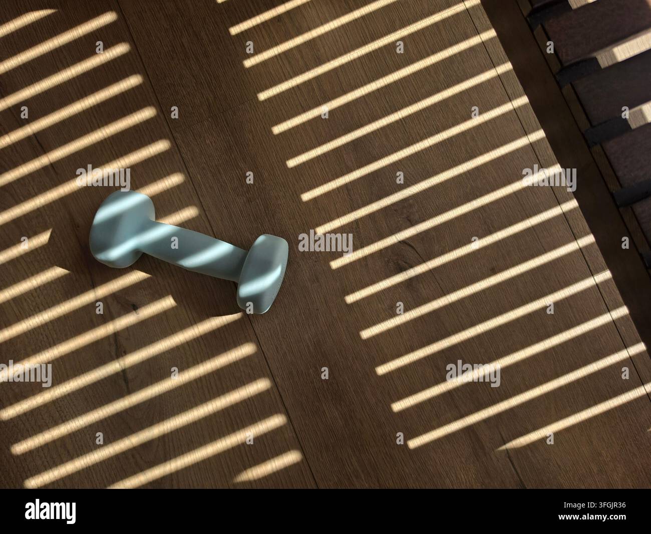 Un haltère de fitness bleu clair unique reposant sur un sol en bois illuminé par une lumière solaire vive avec des ombres rayées créatives provenant des stores de fenêtre - Image de stock capturée avec un smartphone