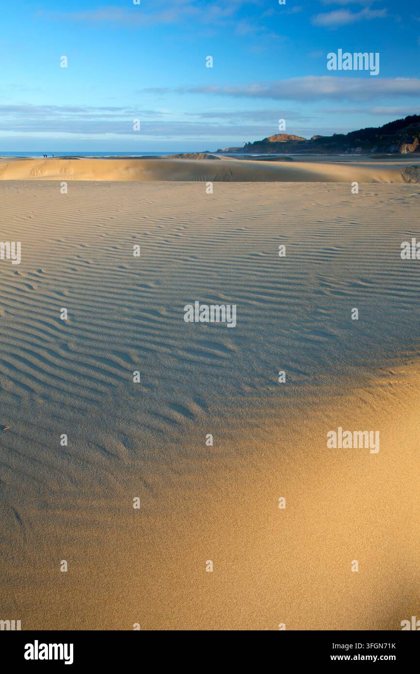 Dune de plage, Agate Beach State Park, Newport, Oregon Banque D'Images