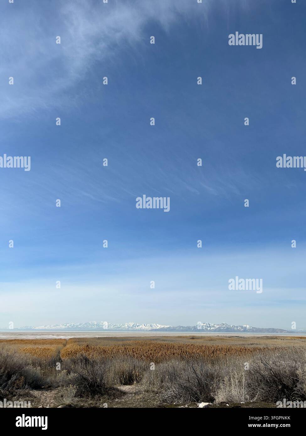 Vastes étendues de sel et montagnes enneigées, île Antelope, Utah Banque D'Images