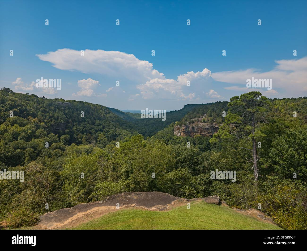 Une vue panoramique d'une vallée forestière luxuriante avec des falaises rocheuses exposées sous un ciel bleu parsemé de nuages blancs. Banque D'Images