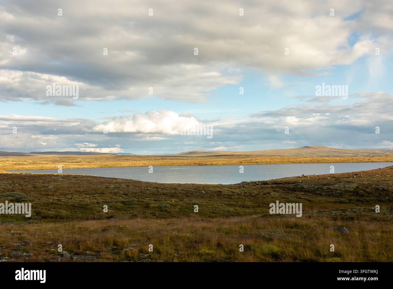 20 août 2026 - Geilo, Norvège : Zone montagneuse pittoresque sur la route de Geilo à Oslo, serpentant à travers les hautes terres norvégiennes avec de nombreux lacs, pois rocheux Banque D'Images