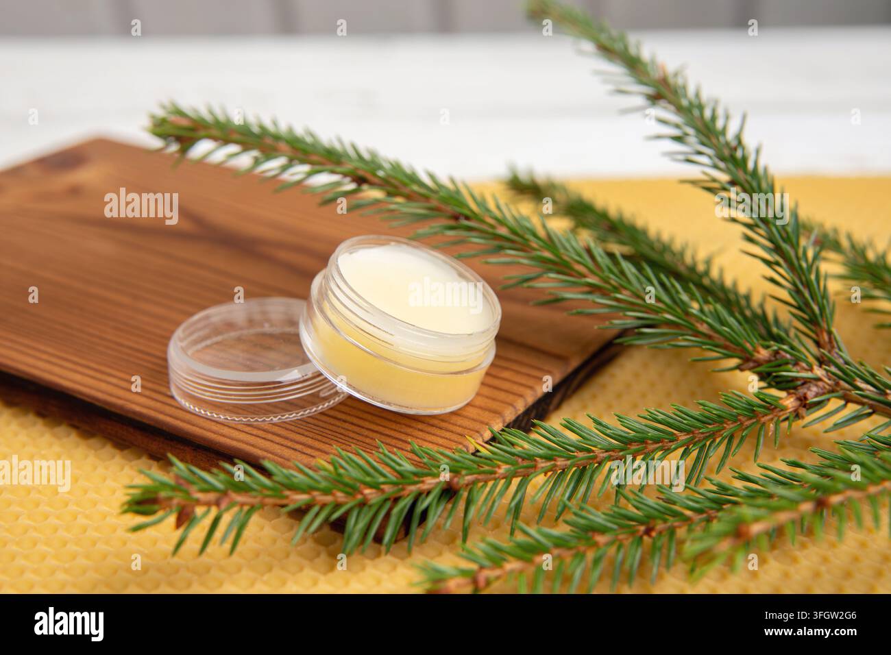 Picea abies, lotion médicinale résineuse à l'épicéa norvégien dans un pot, décorée de branches d'épicéa fraîches. Banque D'Images