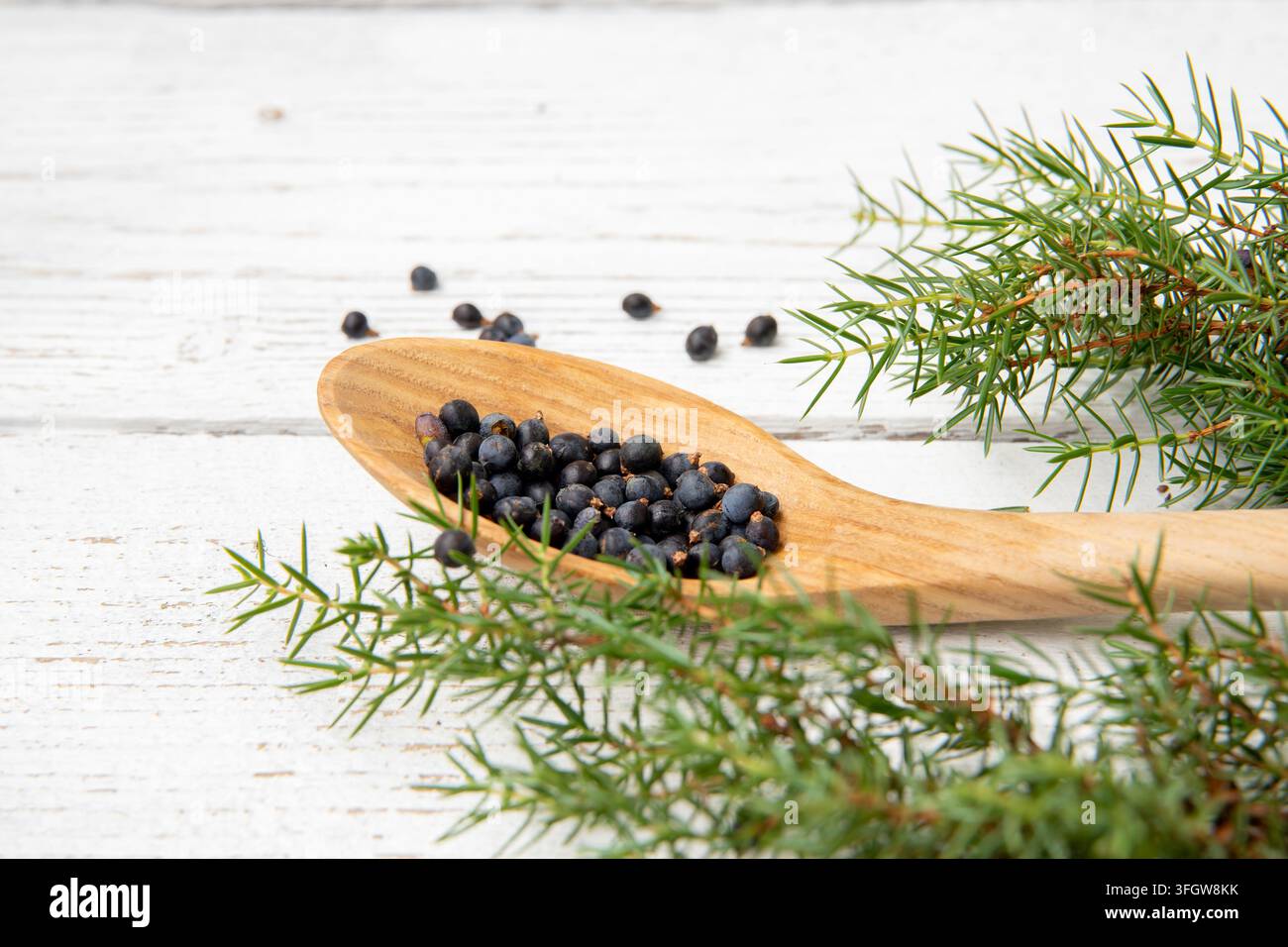 Vue en plan d’aire des baies de genévrier latin Juniperus communis sur une cuillère en bois, branche de genévrier avec cônes de conifère et baies éparpillées autour. Banque D'Images