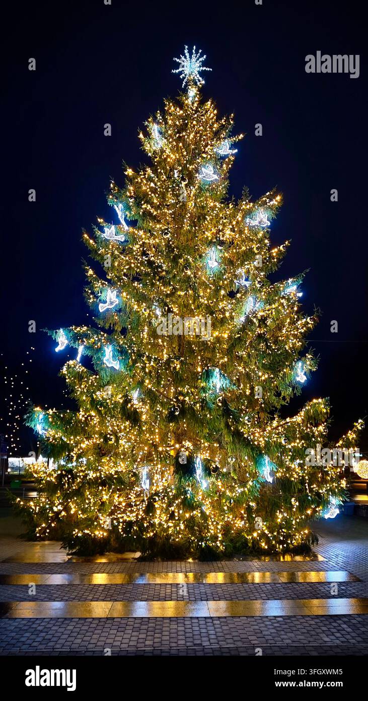 Sapın de Noël illuminé décoré de guirlandes lumineuses chaudes et d’ornements d’oiseaux blancs sur une place publique à Anykščiai, Lituanie. - Image de stock capturée avec un smartphone