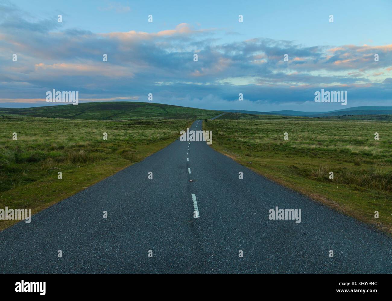 Route vers nulle part sur la lande de Dartmoor Banque D'Images