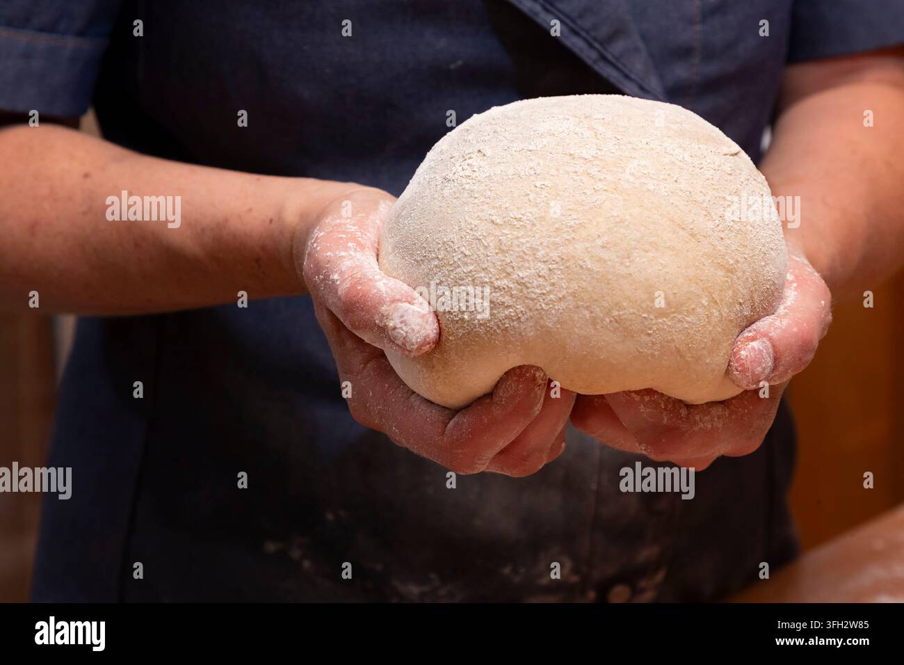 Créquy (nord de la France) : La boulangerie La Boulange. Fabrication artisanale de pain biologique. Façonnage des pièces de pâte Banque D'Images