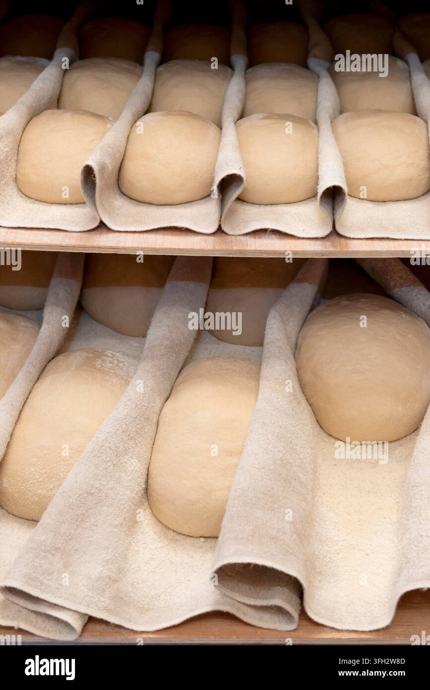 Créquy (nord de la France) : La Boulange boulangerie. Fabrication artisanale de pain biologique. Fabrication artisanale de pain biologique. Fermentation des morceaux de pâte (pr Banque D'Images