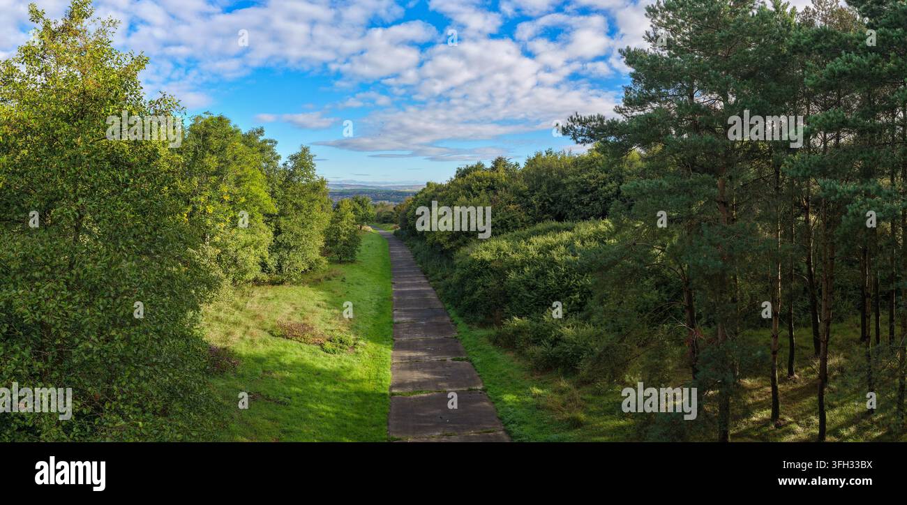 Image aérienne de la lisière de forêt et de la forêt de pins d'Oldham Edge Banque D'Images