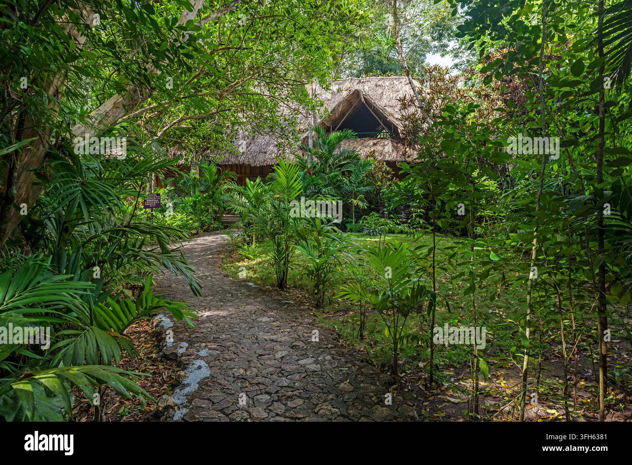 Chemin menant au bungalow de la Jungle Lodge, parc national de Tikal, Guatemala. Banque D'Images
