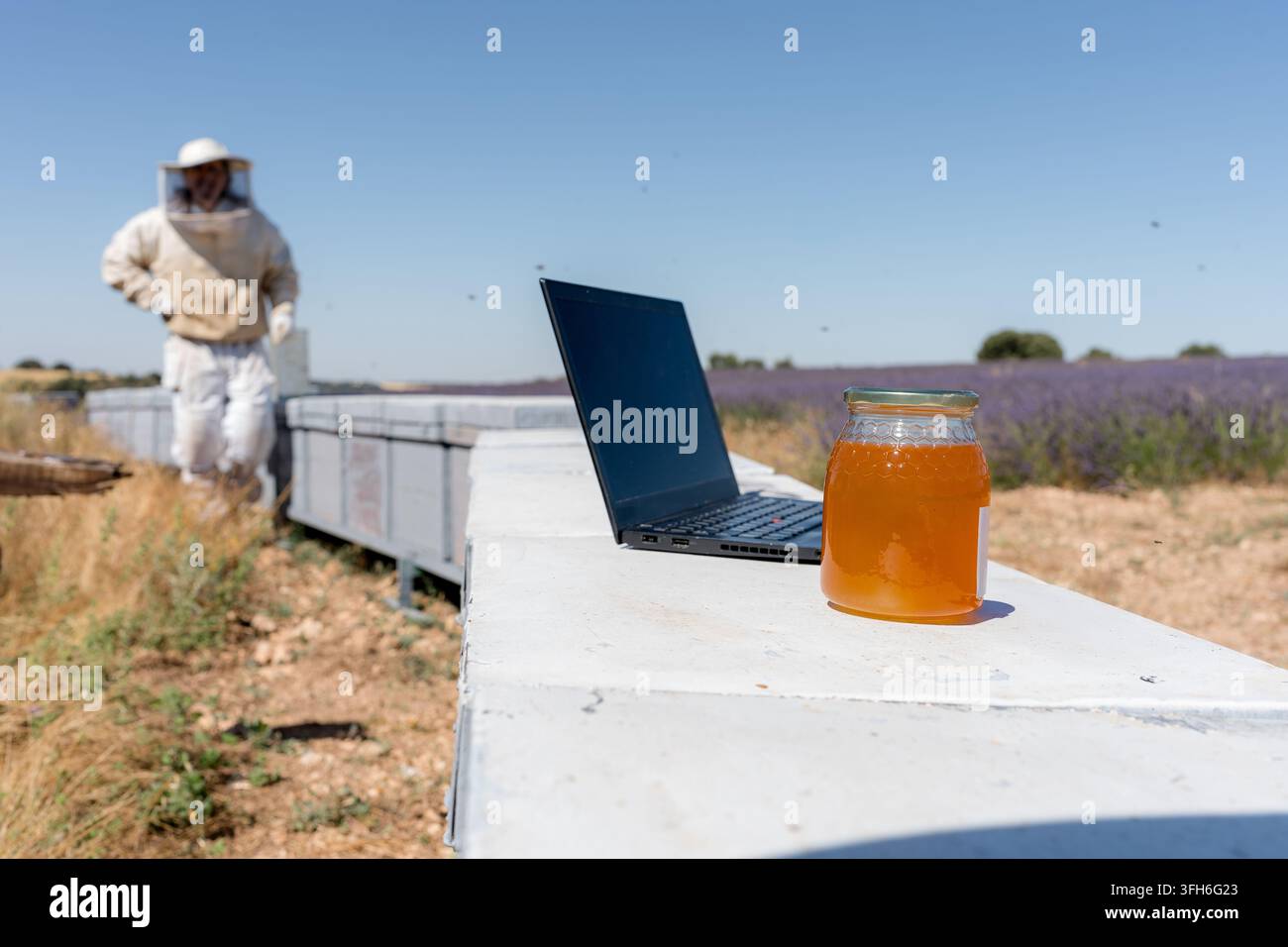 Un ordinateur portable et un pot de miel frais reposent sur une ruche blanche à côté d'un champ de lavande alors qu'un apiculteur en vêtements de protection s'occupe de l'apiculture sous un ciel clair b Banque D'Images