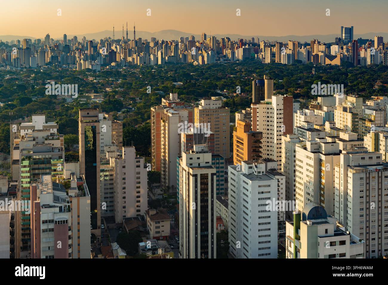 Une vue panoramique large sur le paysage urbain de la ville de São Paulo au Brésil montrant des immeubles de grande hauteur denses et des arbres urbains verdoyants luxuriants Banque D'Images