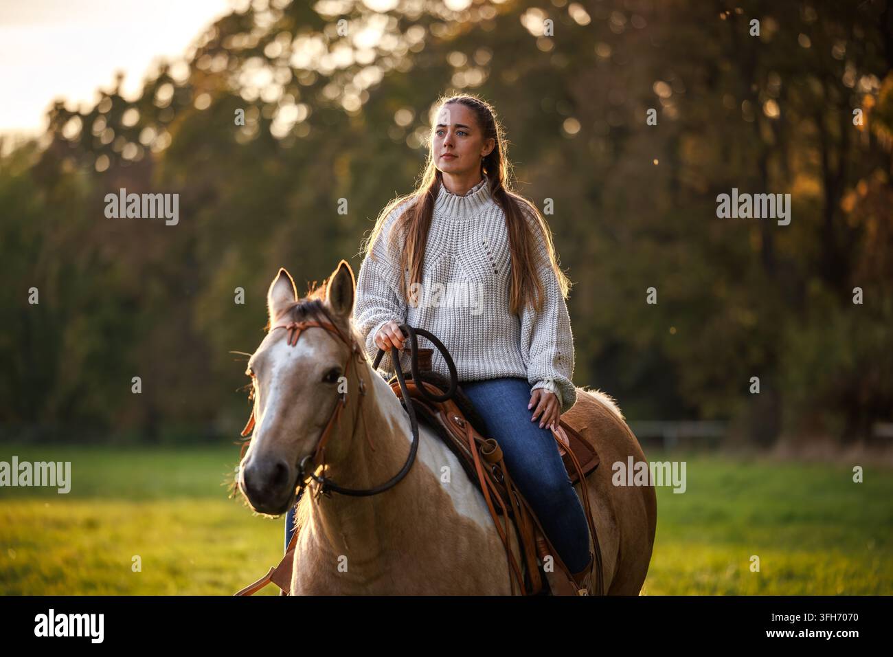 Femme montant un cheval sur un pâturage. Cowgirl profitant de l'équitation et du style de vie western à la campagne Banque D'Images