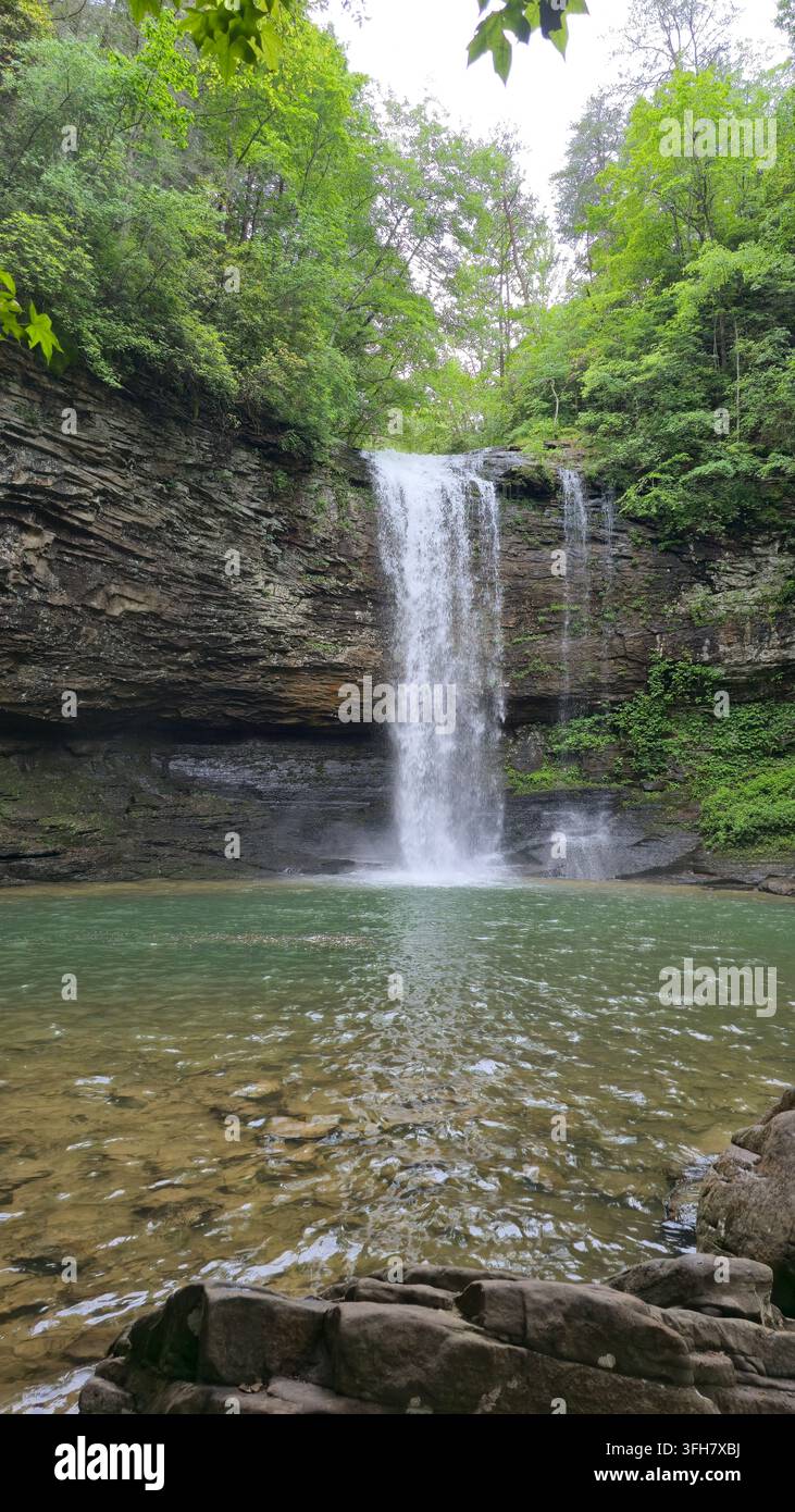 Cascade de Cherokee Falls entourée d’une forêt luxuriante dans le parc d’État de Cloudland Canyon, Géorgie, États-Unis - Image de stock capturée avec un smartphone