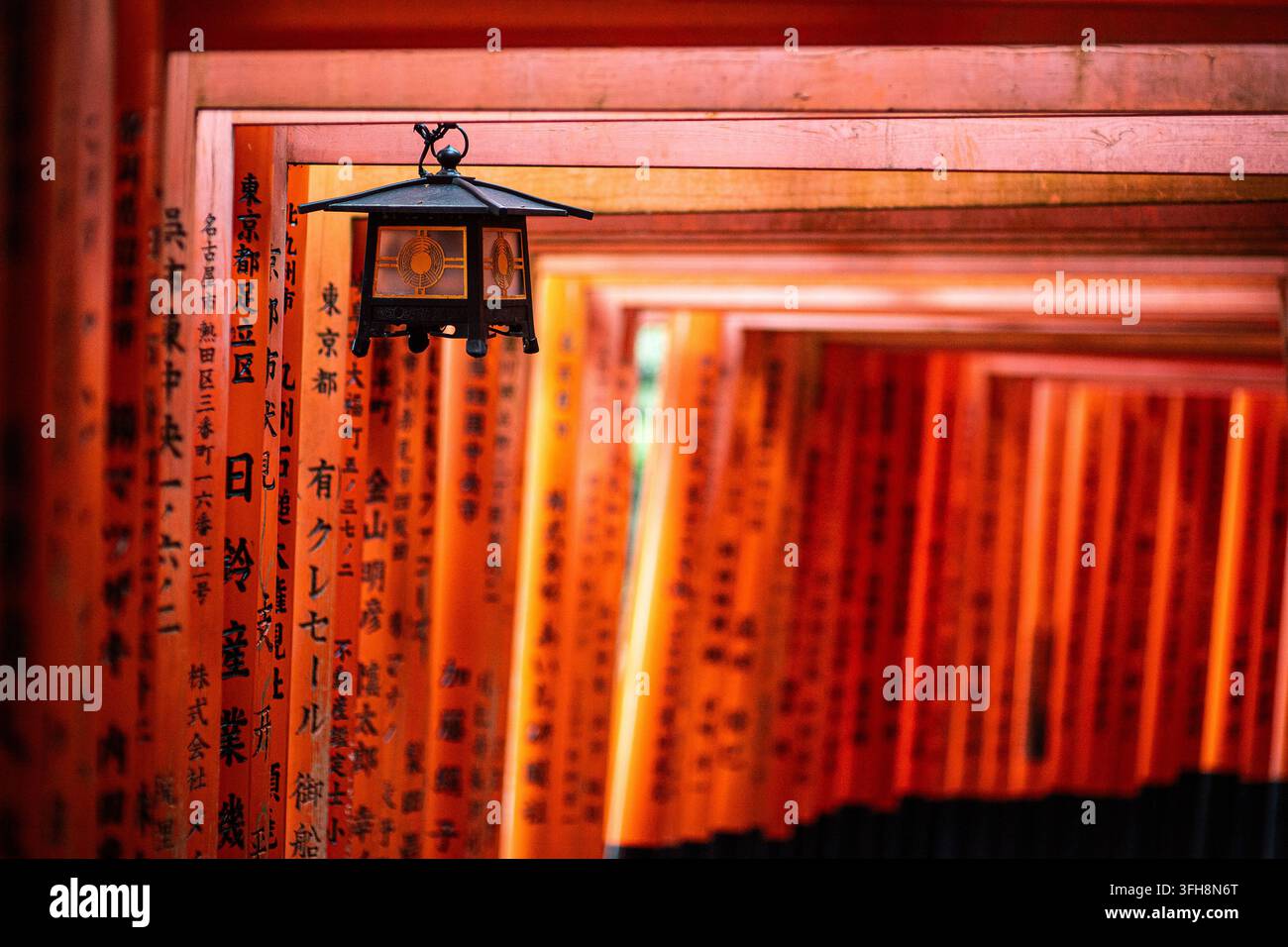Des rangées de portes torii vermillon vives s'enroulent le long du chemin Senbon Torii au Fushimi Inari Taisha, le célèbre sanctuaire shintoïste de Kyoto, au Japon. Banque D'Images