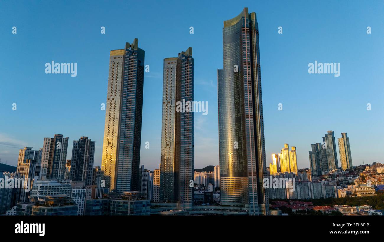 Paysage urbain de Busan mettant en valeur une architecture moderne avec plusieurs gratte-ciel imposants reflétant une lumière dorée contre un ciel bleu clair Banque D'Images