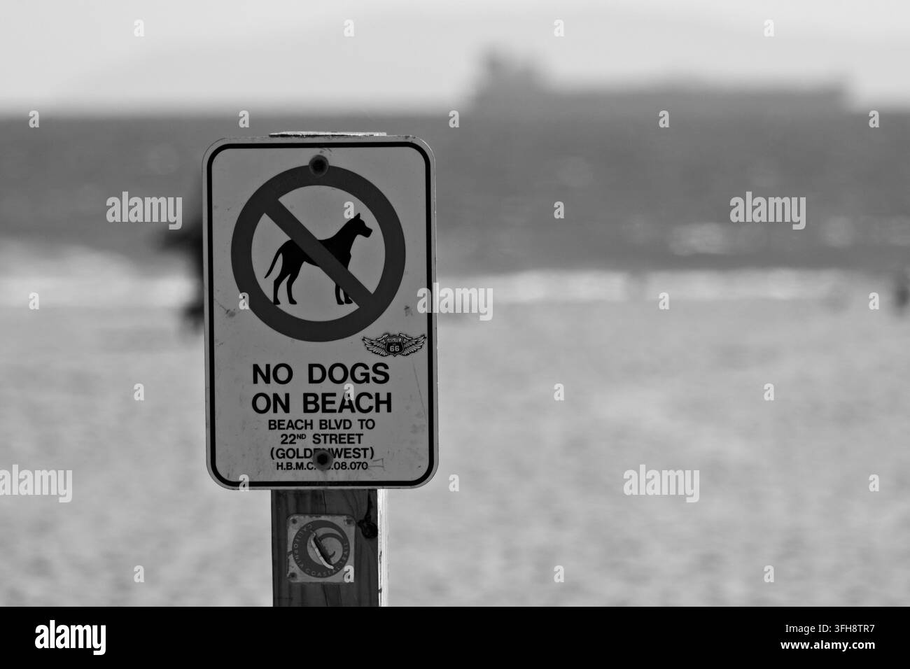 Panneau "Chiens interdits" affiché sur le rivage sablonneux de Huntington Beach avec l'océan et un navire au loin en arrière-plan. Banque D'Images
