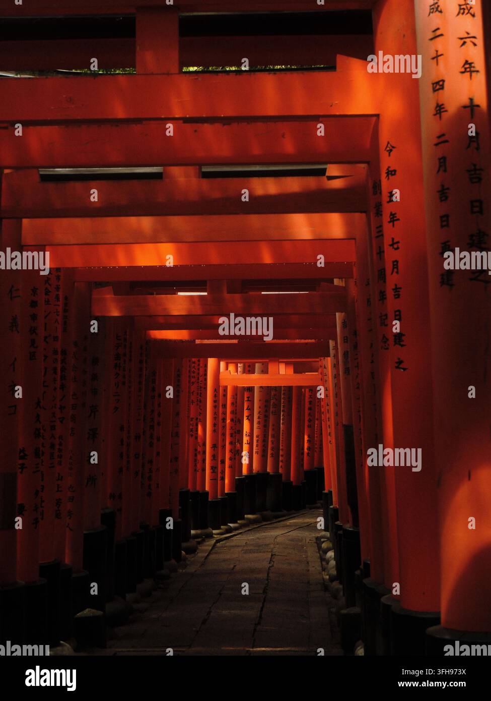 Rangées de portes torii rouges au Fushimi Inari Taisha à Kyoto, au Japon Banque D'Images