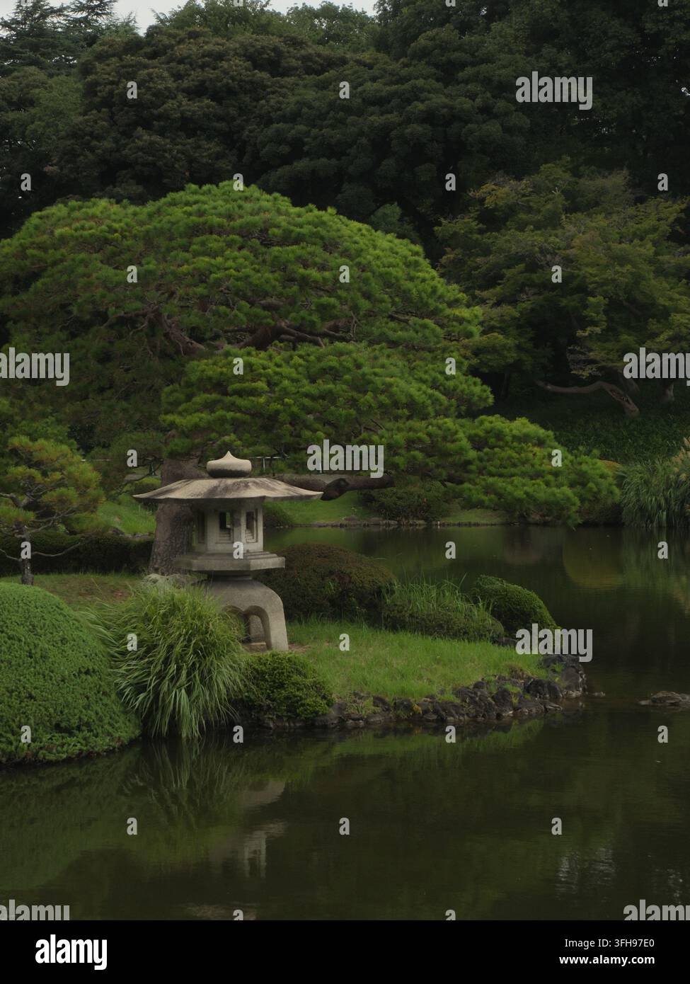 Jardin japonais traditionnel avec lanterne en pierre, pin et étang au Shinjuku Gyoen, Tokyo, Japon Banque D'Images