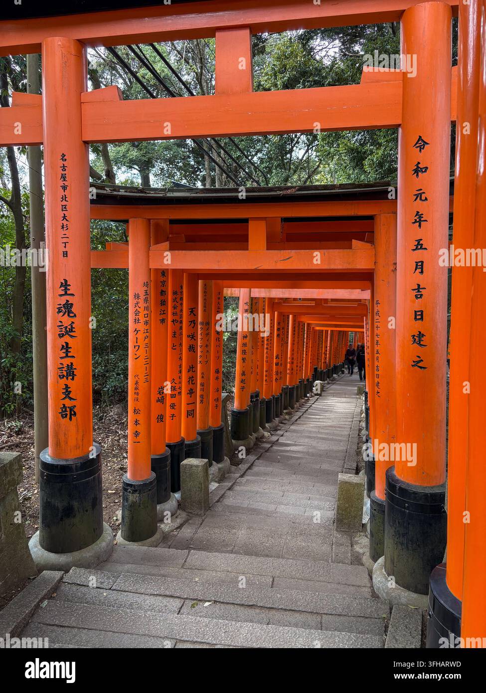 Range de piliers de portails torii orange montrant des inscriptions de donateurs en kanjis noirs le long du sentier de montagne au Fushimi Inari Taisha à Kyoto, Japon. Banque D'Images