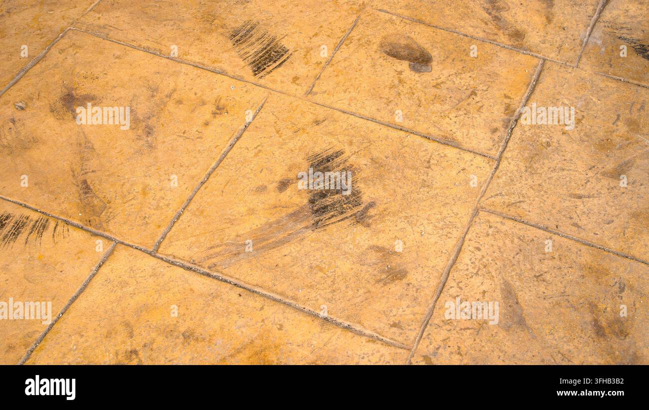 Tuiles de sol en béton estampé avec des traces de pneus en accent Banque D'Images
