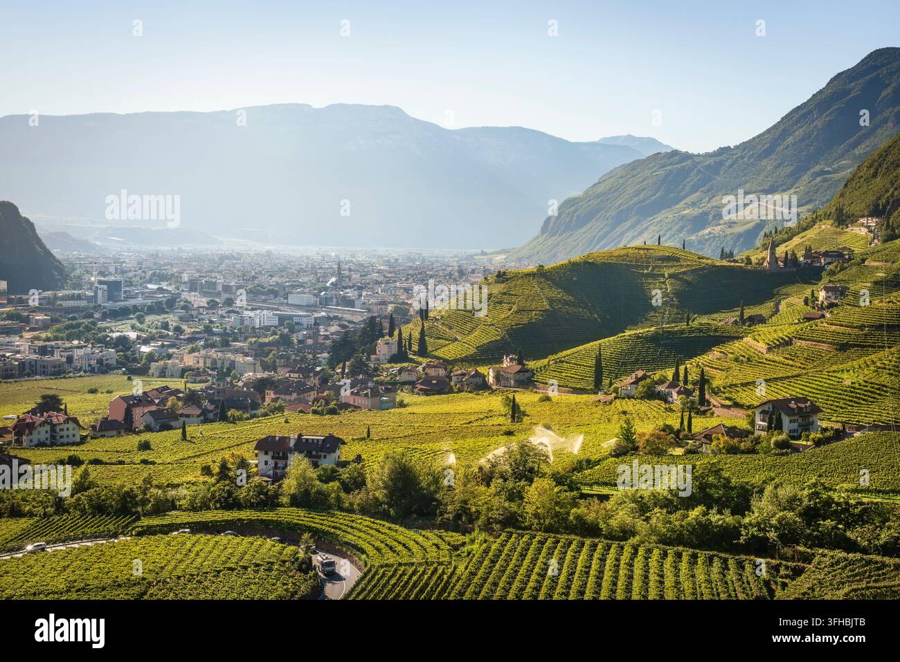 Vue sur l'église Santa Maddalena et les vignes en terrasses dans les collines de Rencio en direction du bassin urbain de Bolzano. Trentin-Haut-Adige, Italie Banque D'Images