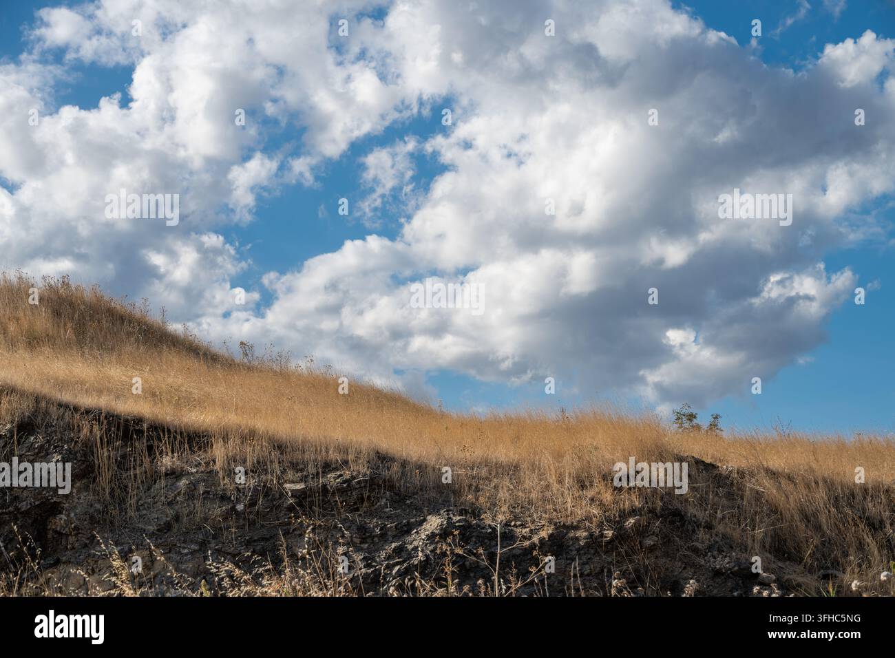 Une colline herbeuse dorée et baignée de soleil s'élève vers un ciel bleu vif rempli de nuages blancs duveteux, mettant en valeur un terrain rural sec et un f partiellement ombragé Banque D'Images